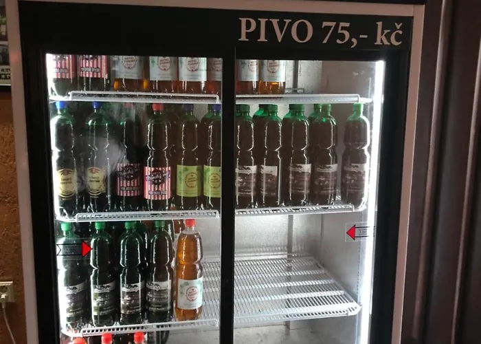 V Pivovare 3* Davle